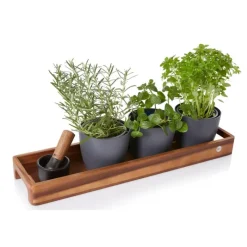 AdHoc Gewürz-, Getränke- und Dekotablett Serve Slim Klein- Aufbewahrung (3)