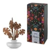 Alessi 5 Seasons Diffuser Hmmm- Diffuser