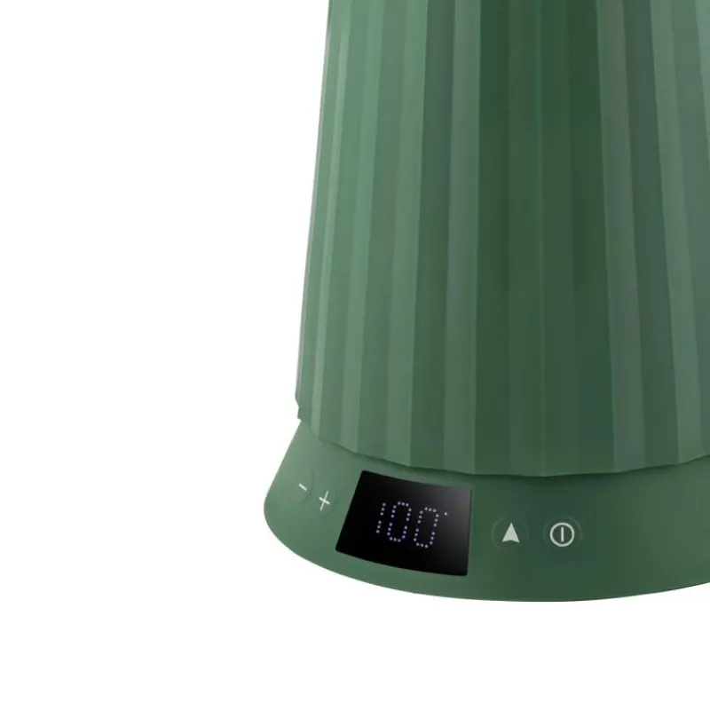 Alessi Plissé Wasserkocher mit Temperaturregelung Grün- Kochgeschirr