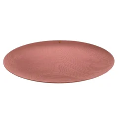 Alessi Veneer Tablett 42 cm Braun- Aufbewahrung (3)