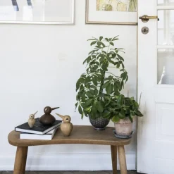 Architectmade Bird Chubby Räuchereiche- Figuren & Objekte