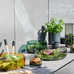 ASA Selection ASA Ajana Schale Grün 21,5 cm- Schalen & Körbe