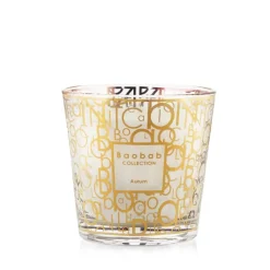 Baobab Collection Baobab Duftkerze Max One My First Baobab Aurum- Duftkerzen