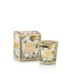 Baobab Collection Baobab Duftkerze My First Baobab Tomorrowland 2025- Kerzen