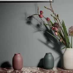 Blomus Colora Vase L Agave Green- Vasen