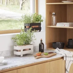 eva solo Nordic Kitchen Selbstbewässernder Kräutertopf Schwarz- Küchenhelfer