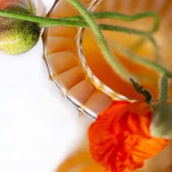 Guaxs Windlicht Omar Clear Gold- Kerzenhalter