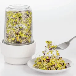 Kilner Sprossenglas-Set 500 ml- Küchenhelfer
