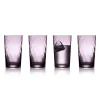 Lyngby Glas Vienna Highballglas Purple 4er Set- Spirituosengläser