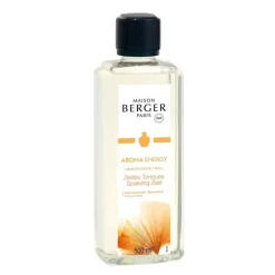 Maison Berger Paris Maison Berger Aroma Energy Dynamisierende Zitrusschalen 500 ml- Nachfüller & Stäbchen