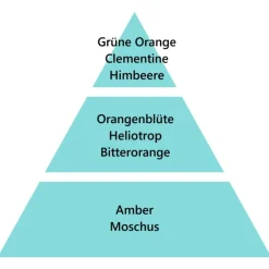 Maison Berger Paris Maison Berger Autoduft Dolce Prickelnde Orangenzesten- Schrank- & Autodüfte