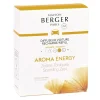 Maison Berger Paris Maison Berger Autoduft Nachfüller Aroma Energy- Nachfüller & Stäbchen