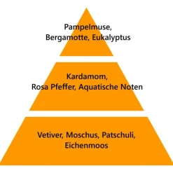 Maison Berger Paris Maison Berger Autoduft Nachfüller Pikante Zitrusfrische- Nachfüller & Stäbchen