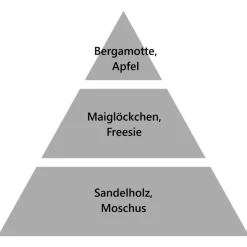 Maison Berger Paris Maison Berger Autoduft Nachfüller Anti Tiergeruch- Nachfüller & Stäbchen