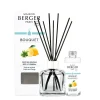 Maison Berger Paris Maison Berger Bouquet mit Nachfüller Belebende Zitronenverbene 100 ml- Diffuser