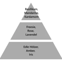 Maison Berger Paris Maison Berger Bouquet mit Nachfüller Meine Küche ohne unangenehme Gerüche 100 ml- Diffuser