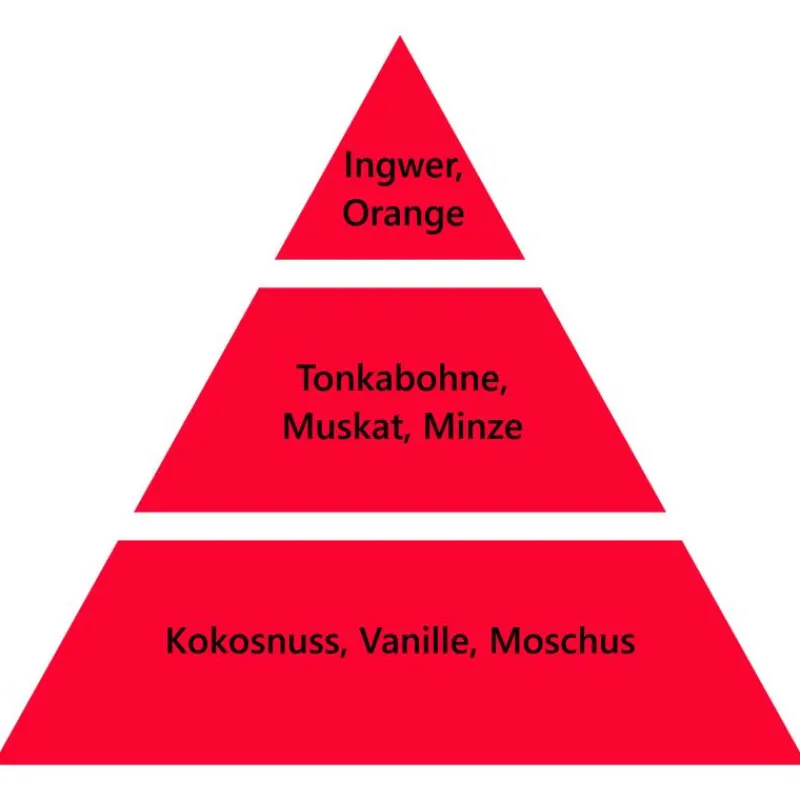 Maison Berger Paris Maison Berger Bouquet mit Nachfüller Genüssliche Orange-Zimt-Aroma 100 ml- Diffuser