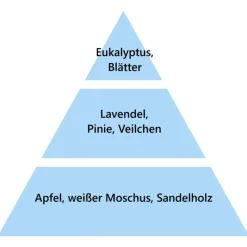 Maison Berger Paris Maison Berger Frische Wäsche 1 Liter- Nachfüller & Stäbchen