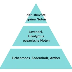 Maison Berger Paris Maison Berger Frischer Eukalyptus 500 ml- Nachfüller & Stäbchen