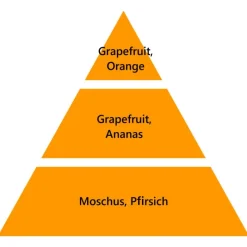 Maison Berger Paris Maison Berger Geschenkset Aroma Energy- Katalytische Lampen