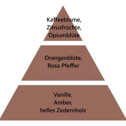 Maison Berger Paris Maison Berger Premium Wäsche-Elixier 3-in-1 Samt aus dem Orient- Hygieneprodukte