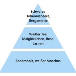 Maison Berger Paris Maison Berger Premium Wäsche-Elixier 3-in-1 Aromatischer Weißer Tee- Hygieneprodukte