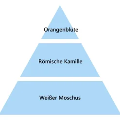 Maison Berger Paris Maison Berger Pudriger Moschus 1 Liter- Nachfüller & Stäbchen