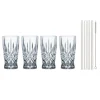 Nachtmann Noblesse Latte Macchiatoglas 4er Set mit vier Glastrinkhalmen- Kaffee & Tee