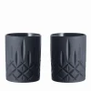 Nachtmann Noblesse Whiskybecher Mattschwarz 2er Set- Spirituosengläser