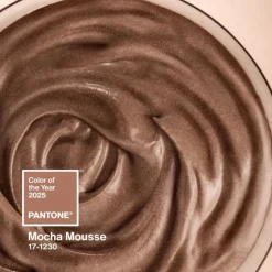 Pantone Schlüsselanhänger Lang COY 2025 Mocha Mousse- Unterwegs