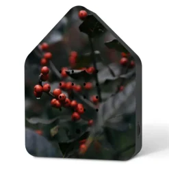 Relaxound Zwitscherbox Celebrate Winter Merry Berries Limitiert- Figuren & Objekte