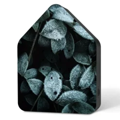 Relaxound Zwitscherbox Celebrate Winter Frosty Leaves Limitiert- Figuren & Objekte