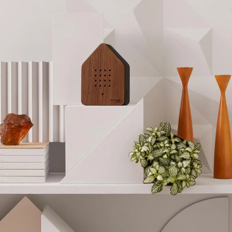 Relaxound Zwitscherbox Natur Walnuss Schwarz- Wohnaccessoires