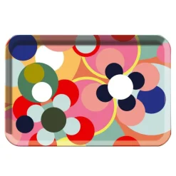 REMEMBER Tablett Sushi- Aufbewahrung (3)