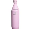 Stanley The All Day Slim Bottle Cherry Blossom 600 ml- Unterwegs