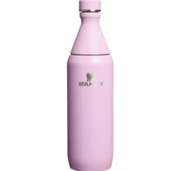 Stanley The All Day Slim Bottle Cherry Blossom 600 ml- Unterwegs