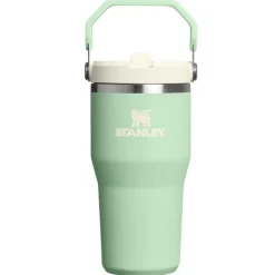 Stanley The IceFlow Flip Straw Tumbler 2.0 Pistachio 600 ml- Unterwegs
