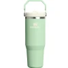 Stanley The IceFlow Flip Straw Tumbler 2.0 Pistachio 890 ml- Unterwegs