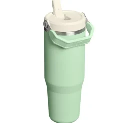 Stanley The IceFlow Flip Straw Tumbler 2.0 Pistachio 890 ml- Unterwegs