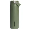 Stanley The IceFlow Flip Straw Bottle 2.0 Dried Pine 710 ml- Unterwegs