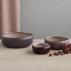 Stelton Ora Schale Puderrosa 30 cm- Aufbewahrung (3)