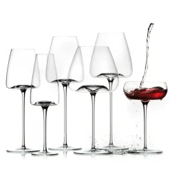 Zieher Vision Weinglas Nostalgic 2er Set- Spirituosengläser